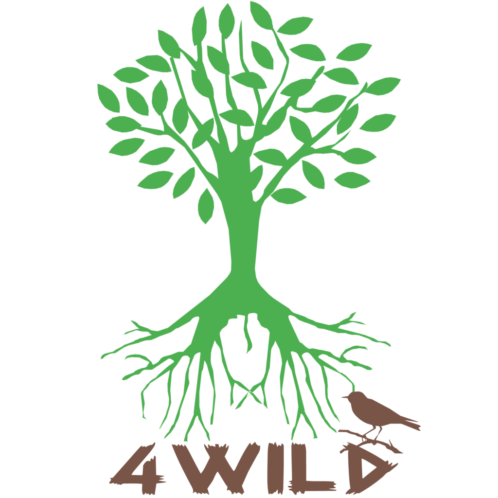 4 Wild
